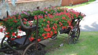 ekologie, doprava. Foto: Jan Ferenc
