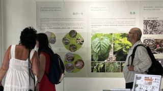 Čínské národní muzeum hedvábí v rámci 26. generální konference ICOM otevírá v Praze výstavu Hedvábí a Hedvábná stezka