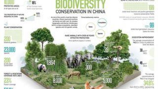 CGTN: Čína bude dále prosazovat přijetí „rámce pro biologickou rozmanitost po roce 2020″
