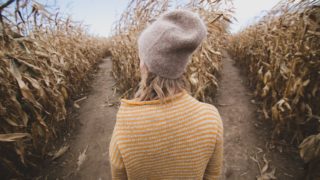 volba; cesty; pole; žena