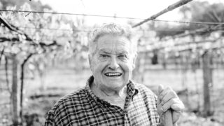 zemědělec; zemědělství; farmář; Španělsko; starý člověk