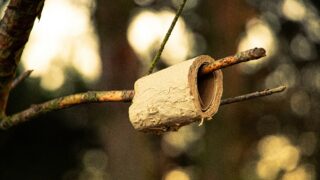 průšvih; budoucnost; marnost