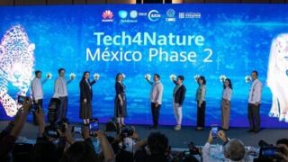 V Mexiku byla zahájena druhá fáze projektu Tech4Nature na ochranu jaguárů
