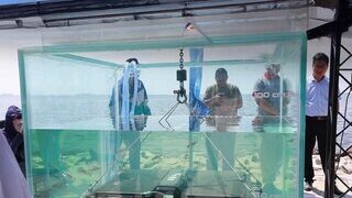 Bezpečnost pod tlakem: baterie značky Chery je vystavena indonéskému oceánu více než 53 hodin, ale stále je v provozu