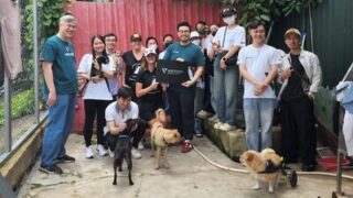 Dobrovolníci nadace Vantage Foundation přinášejí soucit a péči zachráněným psům v organizaci Laws for Paws Vietnam